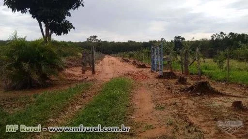 Fazenda Tupã - 17 ha - para agricultura e pecuária