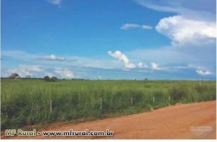 Fazenda Alvorada do Oeste