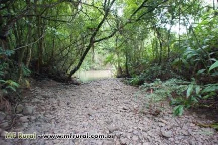 CHÁCARA  -  14 hectares a beira do Rio Rolantinho em Rolante - Areia