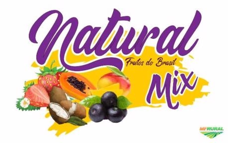 Açaí em pó Imagem Açaí em pó