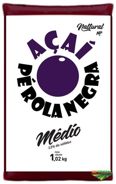 Imagem DISTRIBUIÇÃO OU REPRESENTAÇÃO DE POLPAS DE AÇAÍ Imagem DISTRIBUIÇÃO OU REPRESENTAÇÃO DE POLPAS DE AÇAÍ