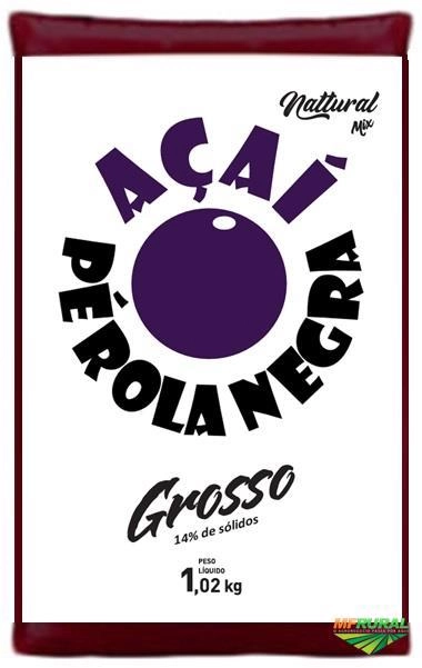 Imagem DISTRIBUIÇÃO OU REPRESENTAÇÃO DE POLPAS DE AÇAÍ Imagem DISTRIBUIÇÃO OU REPRESENTAÇÃO DE POLPAS DE AÇAÍ