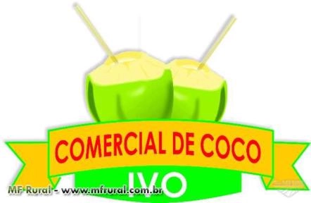 COCO VERDE Imagem COCO VERDE