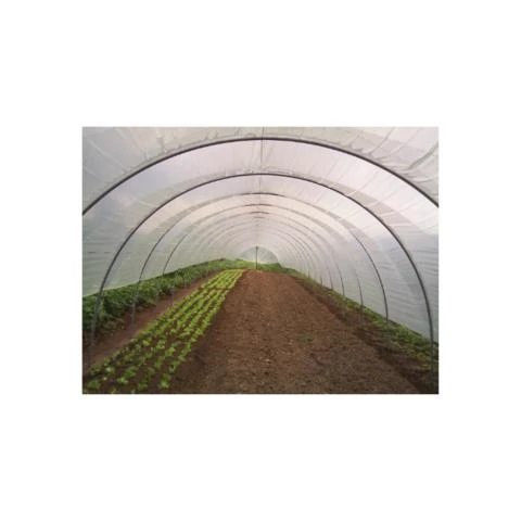 Cage agricola, (tunel alto) Tropical Estufas Agricolas