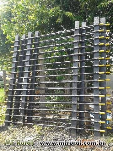 MATA-BURRO Imagem MATA-BURRO