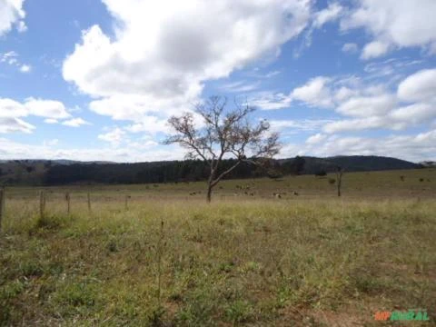 Chácara 1.700m² perto da cachoeira  em Bonfim - MG