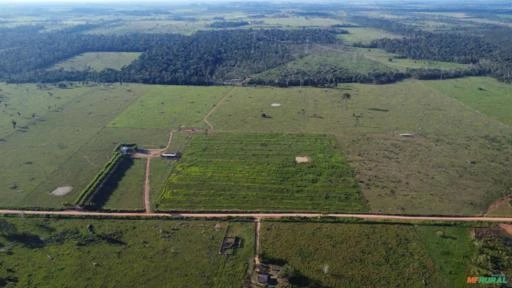 Fazenda dupla aptidão 342,72 Hectares escriturada e destocada  na região de Alto Paraíso - RO