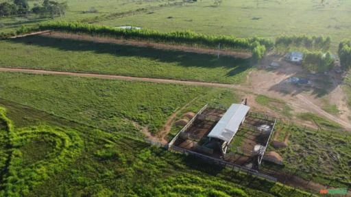 Fazenda dupla aptidão 342,72 Hectares escriturada e destocada  na região de Alto Paraíso - RO