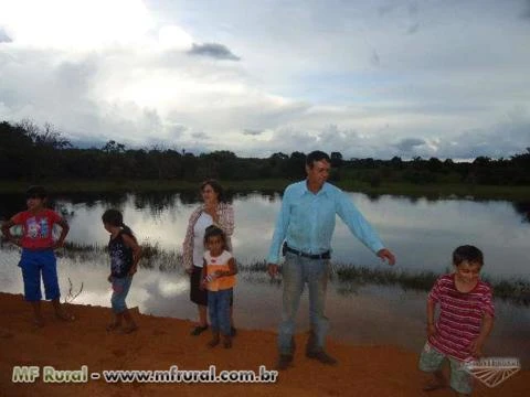 Vendo Fazenda na região do Xingu em Mato Grosso