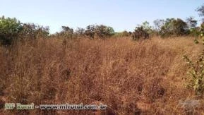 VENDO FAZENDA A 21 KM DE PORTO NACIONAL - TO