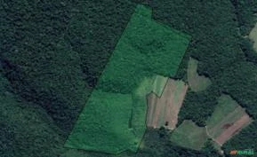 Vendo fazenda 44 hectares em Trancoso, cidade de Porto Seguro. Bahia.