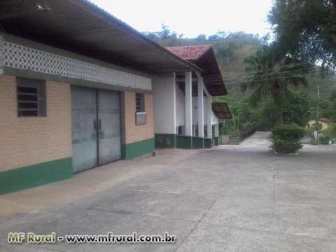 fazenda reconhecida com premiaçao de qualidade nacionalmente