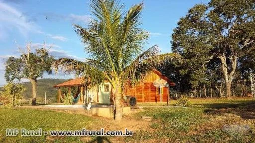Fazenda de 92 ha no Sul de Minas Gerais a venda