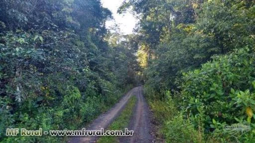 Fazenda em Bragança no Pará - Oportunidade