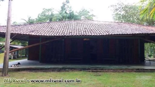 Fazenda em Bragança no Pará - Oportunidade