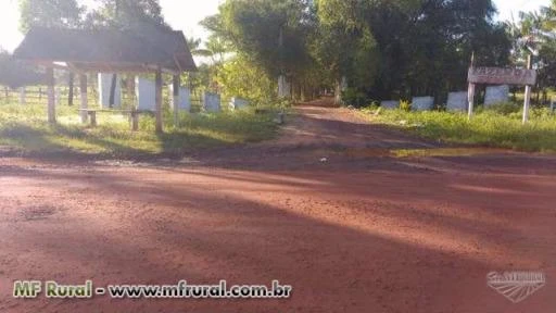 Fazenda em Bragança no Pará - Oportunidade