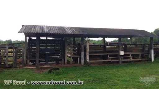 Fazenda em Bragança no Pará - Oportunidade