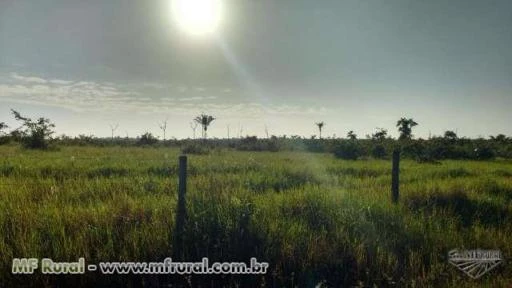 Fazenda em Bragança no Pará - Oportunidade