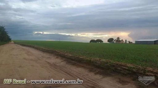 Fazenda em Bragança no Pará - Oportunidade