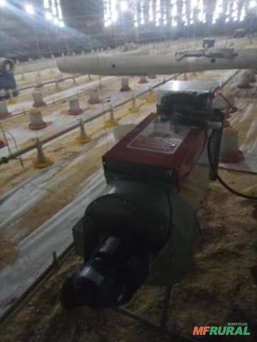Imagem Aquecedor ELÉTRICO Granjas de Frango de corte Imagem Aquecedor ELÉTRICO Granjas de Frango de corte