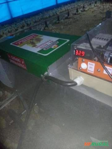 Aquecedor ELÉTRICO Granjas de Frango de corte Imagem Aquecedor ELÉTRICO Granjas de Frango de corte