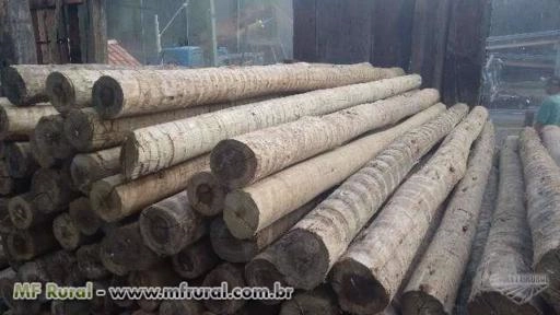 Imagem Dormentes Imagem Dormentes