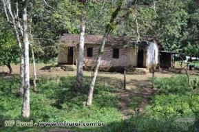 Fazenda a venda Bahia