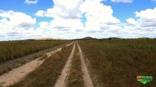 Arrenda se Fazenda com 2000 hectares, excelente para plantio de soja na beira da BR 401