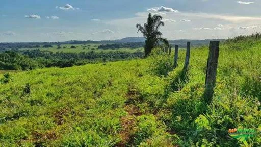 Vende-se linda Fazenda com 13mil hectares no alto alegre, regiao do taiano, excelente para pecuaria