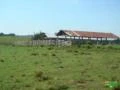 Vende-se Fazenda com 10 mil hectares no alto alegre, regiao do igarape grande