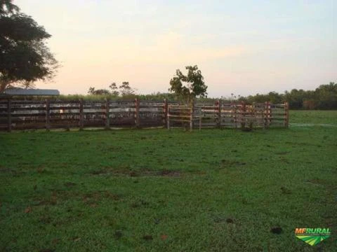 Vende-se Fazenda com 10 mil hectares no alto alegre, regiao do igarape grande