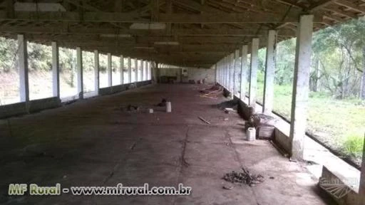 Granja Para frangos com 800m2 Pode também ser utilizada para shimeji e shitake