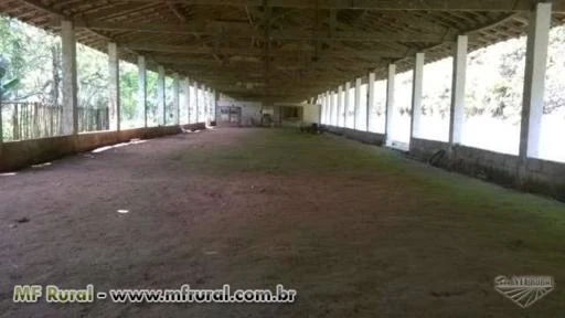 Granja Para frangos com 800m2 Pode também ser utilizada para shimeji e shitake