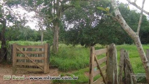 Fazenda em Jaciara – Mato Grosso