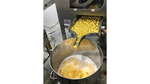 Equipamento para Filtragem de Ovo Liquido Imagem Equipamento para Filtragem de Ovo Liquido