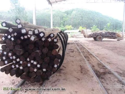 Autoclave para Tratamento de Madeira Novas e Usadas