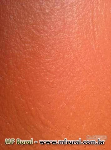 POLPA DE GOIABA - TAMBORES 205 KG Imagem POLPA DE GOIABA - TAMBORES 205 KG