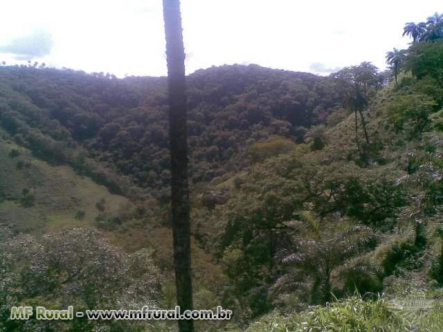 FAZENDA À VENDA PARA RESERVA LEGAL NO ESTADO DE MINAS GERAIS