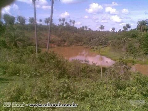 FAZENDA À VENDA PARA RESERVA LEGAL NO ESTADO DE MINAS GERAIS