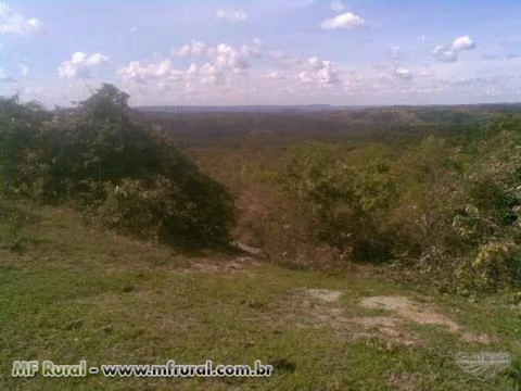 FAZENDA À VENDA PARA RESERVA LEGAL NO ESTADO DE MINAS GERAIS