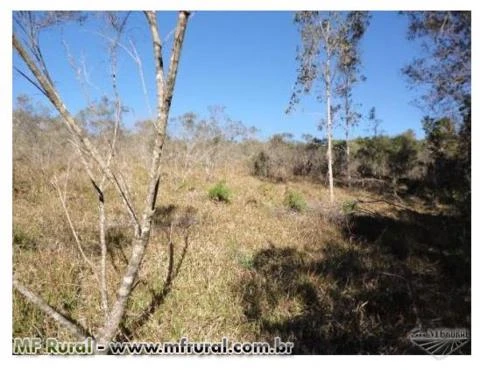 Três hectares de terra em Veranópolis-Serra Gaúcha/RS Terra da longevidade!