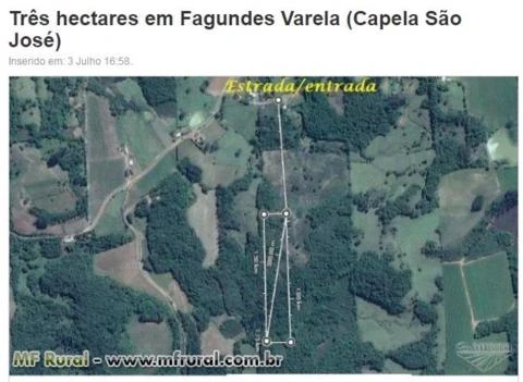 Três hectares de terra em Veranópolis-Serra Gaúcha/RS Terra da longevidade!