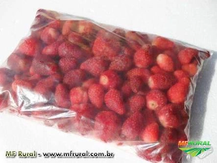 Imagem MORANGO In Natura e CONGELADO Imagem MORANGO In Natura e CONGELADO
