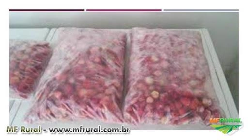 MORANGO In Natura e CONGELADO Imagem MORANGO In Natura e CONGELADO