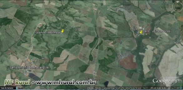 Fazenda Prox Araçatuba / Aracangua - 41 Alqueires (99,22ha)