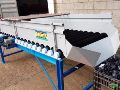 Imagem Máquinas para Beneficiamento de Frutas Imagem Máquinas para Beneficiamento de Frutas