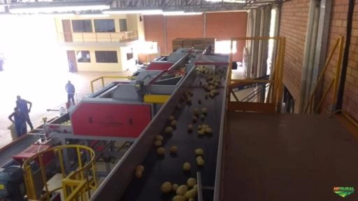 Imagem Máquinas para Beneficiamento de Frutas Imagem Máquinas para Beneficiamento de Frutas