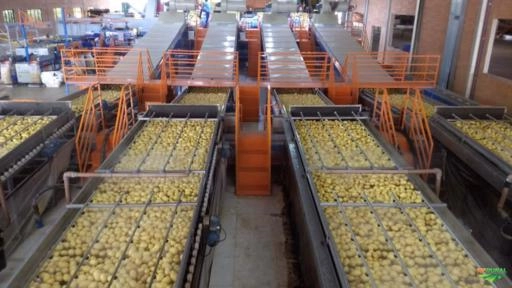 Imagem Máquinas para Beneficiamento de Frutas Imagem Máquinas para Beneficiamento de Frutas