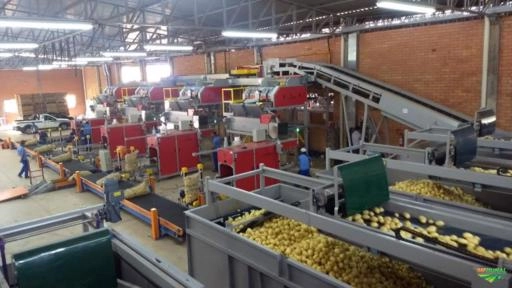 Imagem Máquinas para Beneficiamento de Frutas Imagem Máquinas para Beneficiamento de Frutas