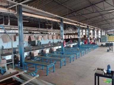 Imagem Máquinas para Beneficiamento de Frutas Imagem Máquinas para Beneficiamento de Frutas